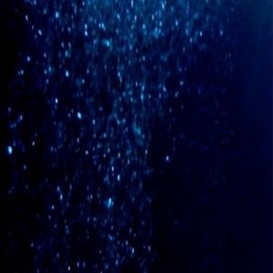 Meet your Posher, Rob